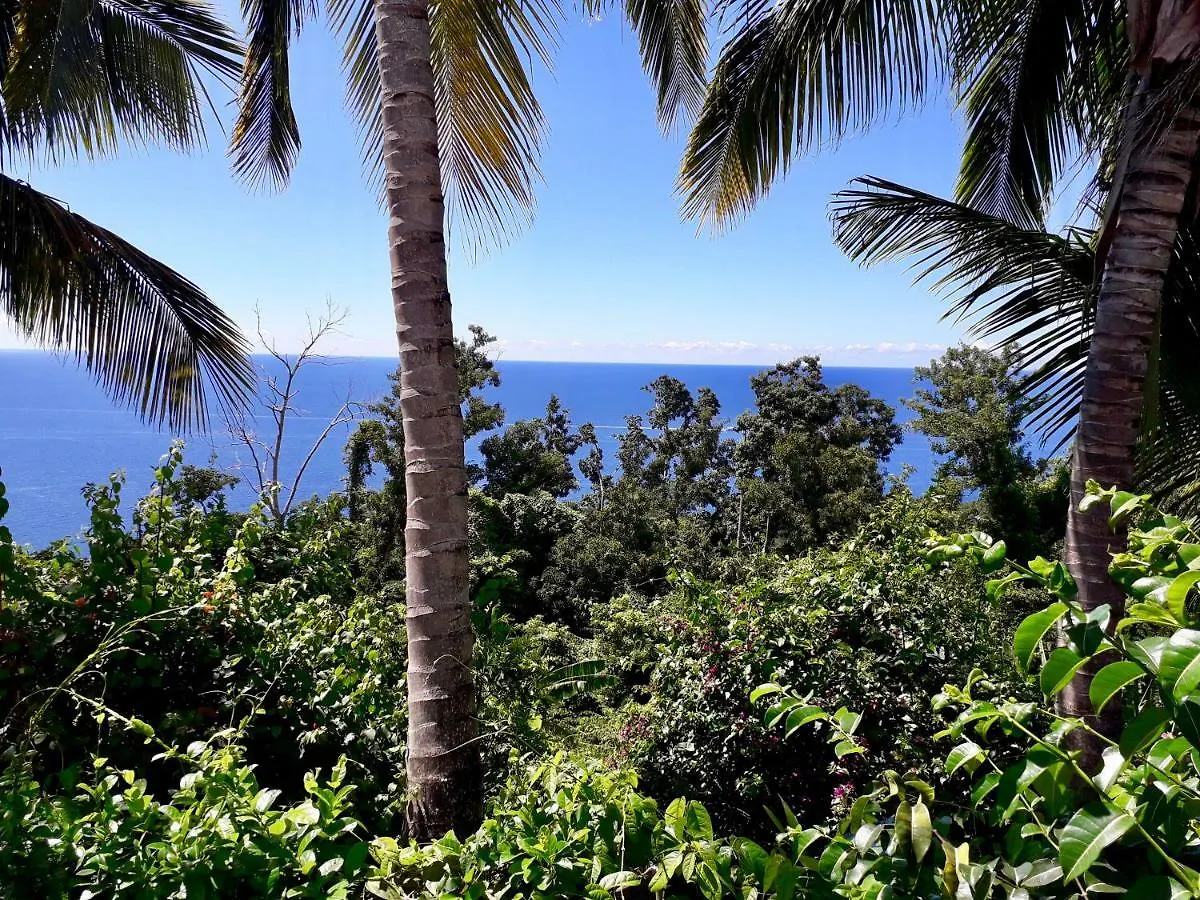 Villa Rose Caraibes بوانت-نوار 0*,  غوادلوب